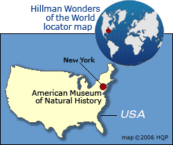 American Museum of Natural History Map