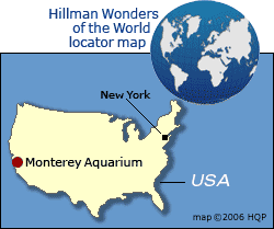 Monterey Aquarium Map