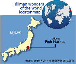Tokyo Fish Market Map