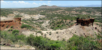 Olduvai Gorge