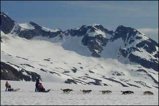 Glacier sightseeing with dog sledding