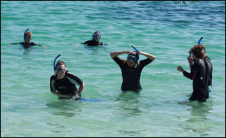 Snorkelers Galapagos